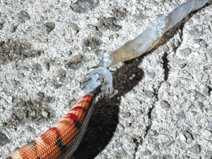 和歌山_秋エギング2025