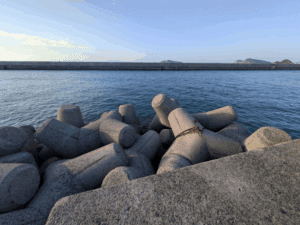 和歌山中紀エギング