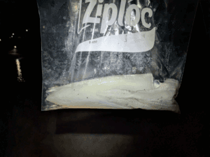 和歌山エギング