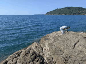 和歌山中紀エギング