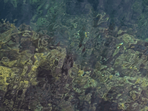 和歌山中紀エギング