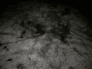 和歌山エギング