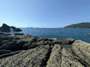 和歌山中紀エギング