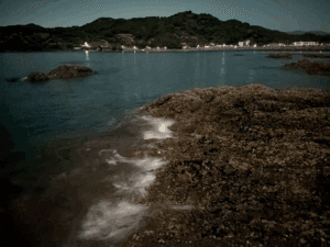 和歌山中紀エギング