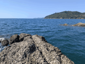 和歌山中紀エギング