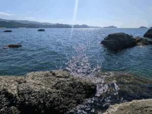 和歌山中紀エギング