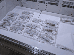 和歌山中紀エギング