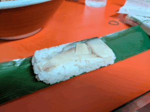 和歌山中紀エギング