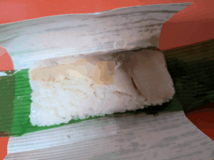 和歌山エギング2025