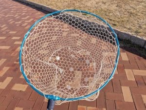 エギングのタモ